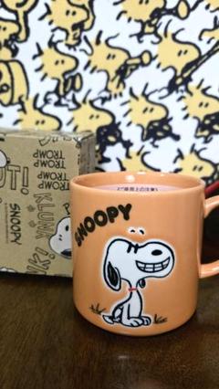 値下げ レア 貴重 未使用品 スヌーピー 陶器製犬用食器 約19cm