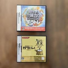 Nintendo DS ソフト 2本セット