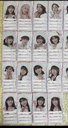 櫻坂46 生写真　2023年　クリスマスサンタ衣装　フルコンプ 生写真 アイドル