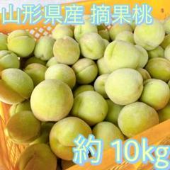山形県産 あかつき 摘果桃 もも 加工用 資材込 約10kg 常温発送