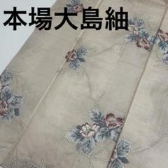 ［3926］本場白大島紬 美品 草花間道 逸品 正絹 着物 袷 3926］本場白大島紬 美品 草花間道 逸品 正絹 着物 袷