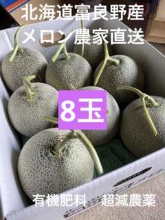 北海道 富良野メロン 赤肉 8玉 有機肥料超減農薬 数量限定(4