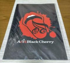 Acid Black Cherry フリーライブ パンフレット