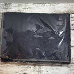 新品未開封　収納ケース（大）