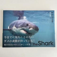鍵井靖章パイインターナショナル絶版三部