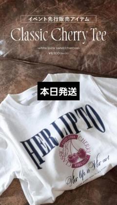 新品未使用　herlipto HLT Long Stole 67060eebeca469423b1e0d7d718907