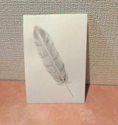 ふんわり羽のイラスト ポストカード　水墨画　オリジナル原画