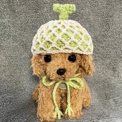 小型犬用帽子・猫用帽子♥メロンの帽子♥ハンドメイド