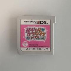 姫ギャルパラダイス ニンテンドー3DS ソフト カセット