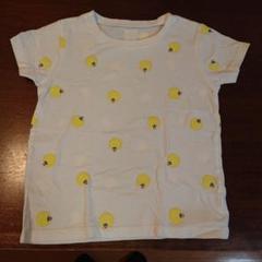 インセクトコレクション 発光ホタルTシャツ　120-130 L 蓄光ほたる 白