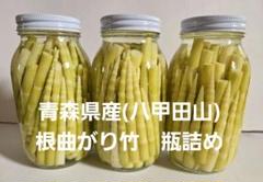 北海道産根曲がり竹（タケノコ）瓶詰め たけのこ 北海道産根曲り竹 瓶詰め - 野菜