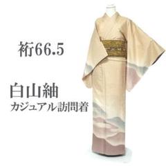 【白山紬】上質な紬の訪問着　袷　大きめサイズ 白山紬 着物 袷 訪問着 手染め 遠山 紬 裄66.5 L 新古品 sn1457
