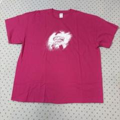 ☆大きいサイズ　フロリダ　ユニバーシティ　ヘルス　半袖　Tシャツ　2XL