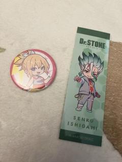 Dr.STONE ドクターストーン　でんきの科学館　コハク　缶バッジ　千空しおり