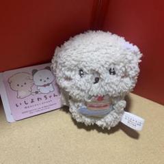 週末値下げ‼️いしよわちゃん