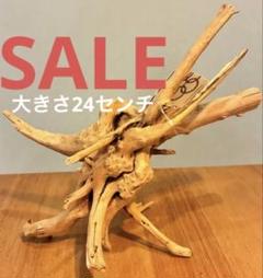 2025年最新】ブランチ 流木の人気アイテム - メルカリ