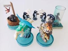 旭山動物園 ガチャ vol.1 海洋堂フィギュア4個セットとオマケ達