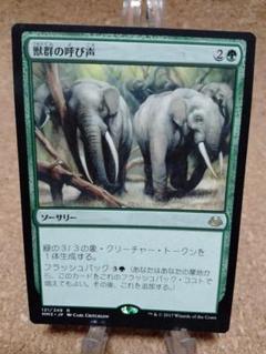 マジックザギャザリング　緑　速攻デッキ　まとめ売り　等時の王笏　獣群の呼び声 マジックザギャザリング 緑 速攻デッキ まとめ売り 等時の王笏