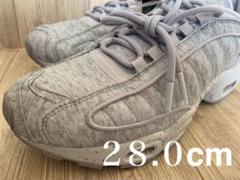 ナイキ エアマックス テイルウィンド 4 SP Grey Ripstop