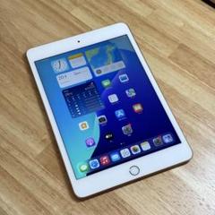 ⭐︎極美品⭐︎Apple iPad mini5 64GB WiFiモデル
