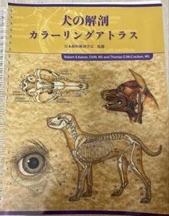犬と猫のX線アトラス 正常像と解剖学的多様性 正常画像と比べてわかる犬猫画像診断 | 株式会社誠文堂新光社
