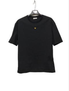 ディオール BEE刺繍 Tシャツ タイガープリント ロンT 2点セット 4&6 スカ刺繍ロングTシャツ「TIGER」 テーラー東洋 TT69471 和柄