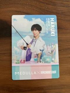 岩尾春輝 ぬいぐるみ BUDDiiS HARUKI 岩尾春輝 ぬいぐるみ