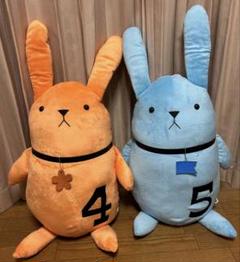 特大ツキウサ 皐月葵 5月 特大ツキウサ 皐月葵 5月