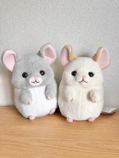 チンチラのララちゃん ころりんギミック 2種セット×7セット チンチラのララちゃんころりんギミック｜タイトーの5月の