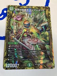 ガイアハザードパーツ 2025年最新】ガイアハザードの人気アイテム - メルカリ