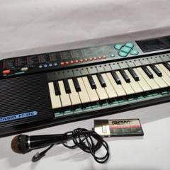 2025年最新】CASIO PTの人気アイテム - メルカリ