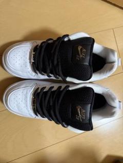 5/14・5/16発売｜Nike SB P-Rod 1 Retro 
