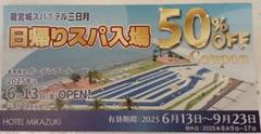 2025年最新】龍宮城の人気アイテム - メルカリ
