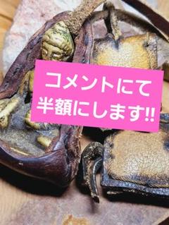 リーナ様★専用★超高波動★チベット産 小さな仏像の御守り リーナ様☆専用☆超高波動☆チベット産 小さな仏像の御守り