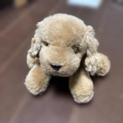ラス　犬のぬいぐるみ ベージュ