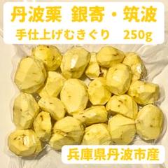 2024年収穫分　熊本県産　山鹿　むきぐり　むき栗 熊本 山鹿 和栗 むき栗（先行予約数量限定やまが和栗 大粒むき栗