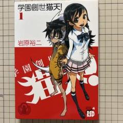 岩原裕二著「学園創世猫天！」1巻