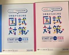 薬学ゼミナール 100日インプットマスター 18冊全冊セット 薬学ゼミナール 100日インプットマスター 18冊全冊セット 薬ゼミ