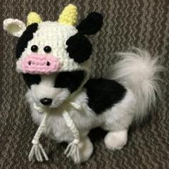 小型犬用ニット帽♥うし帽子