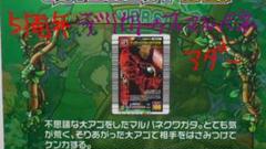 ムシキング　5周年記念　アダーコレクション　デリカトゥスマルバネクワガタ