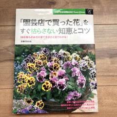 園芸店で買った花をすぐに枯らさない知恵とコツ