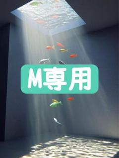 M専用