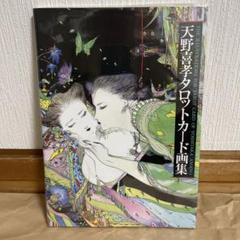 天野喜孝 タロットカード画集 初版 天野喜孝 タロットカード画集 初版（天野喜孝 タロットカードの