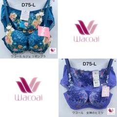 2025年最新】ワコールブラジャーd75の人気アイテム - メルカリ