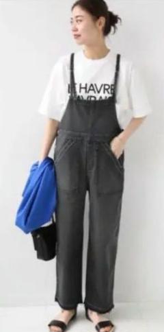 ジャーナルスタンダードサロペット zara IENA ユナイテッドアローズ