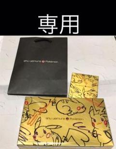 専用 プレミアムブラシセット デュオパレット コーラルスパーク