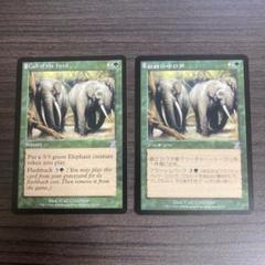 獣群の呼び声 Magic: The Gathering EX]獣群の呼び声/Call of the Herd《英語》【ODY】