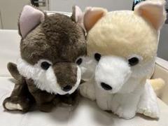 もふっと オオカミ カムちゃん ( ツンドラオオカミ ぬいぐるみ ) もふっと オオカミ カムちゃん ( ツンドラオオカミ ぬいぐるみ )