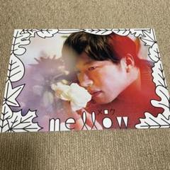 田中圭 mellow メロウ 映画 グッズ パンフレット 写真集