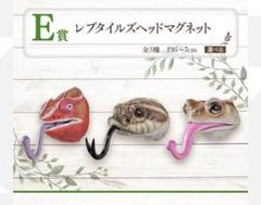 一番くじ 爬虫類＆両生類 E賞 レプタイルズヘッドマグネット 3種フルコンプ ♡ 一番くじ 爬虫類&両生類 E賞 レプタイルズヘッドマグネット